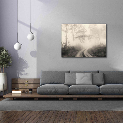 Image of 'Bleached Woodlands' by Lori Deiter, Canvas Wall Art,54 x 40