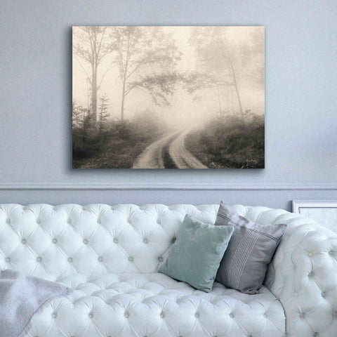 Image of 'Bleached Woodlands' by Lori Deiter, Canvas Wall Art,54 x 40