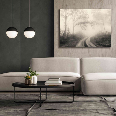 Image of 'Bleached Woodlands' by Lori Deiter, Canvas Wall Art,54 x 40