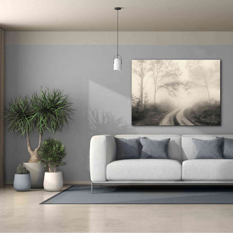 Image of 'Bleached Woodlands' by Lori Deiter, Canvas Wall Art,54 x 40