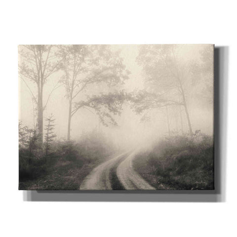 Image of 'Bleached Woodlands' by Lori Deiter, Canvas Wall Art