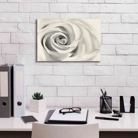 Image of 'Rose II' by Lori Deiter, Canvas Wall Art,18 x 12