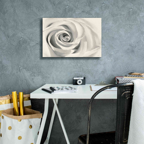 Image of 'Rose II' by Lori Deiter, Canvas Wall Art,18 x 12