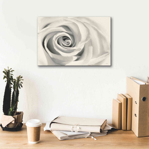 Image of 'Rose II' by Lori Deiter, Canvas Wall Art,18 x 12
