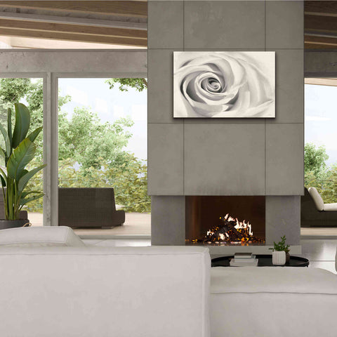 Image of 'Rose II' by Lori Deiter, Canvas Wall Art,40 x 26