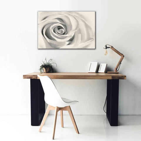 Image of 'Rose II' by Lori Deiter, Canvas Wall Art,40 x 26