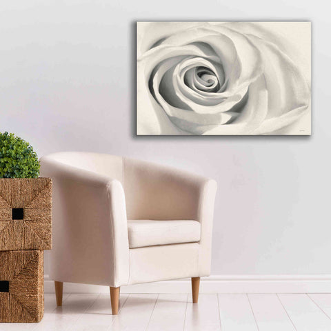 Image of 'Rose II' by Lori Deiter, Canvas Wall Art,40 x 26