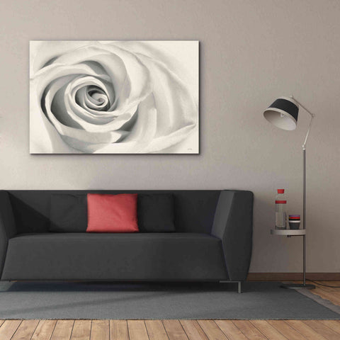 Image of 'Rose II' by Lori Deiter, Canvas Wall Art,60 x 40
