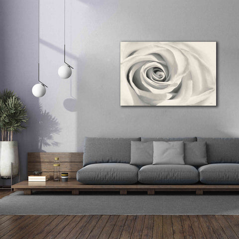 Image of 'Rose II' by Lori Deiter, Canvas Wall Art,60 x 40