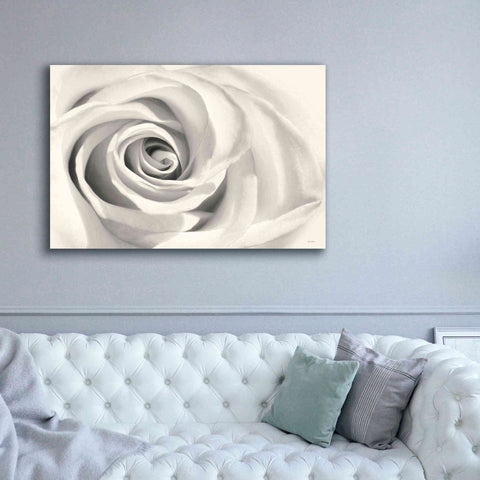 Image of 'Rose II' by Lori Deiter, Canvas Wall Art,60 x 40