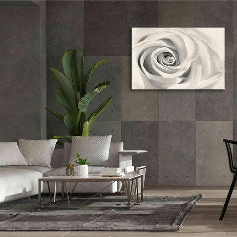 Image of 'Rose II' by Lori Deiter, Canvas Wall Art,60 x 40