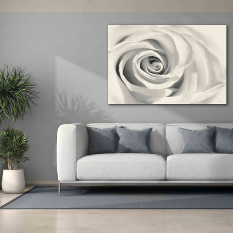Image of 'Rose II' by Lori Deiter, Canvas Wall Art,60 x 40