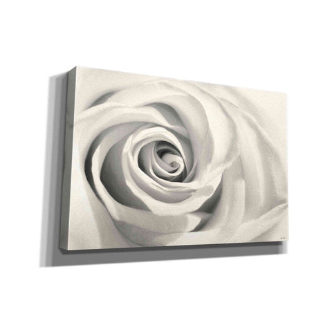 Image of 'Rose II' by Lori Deiter, Canvas Wall Art