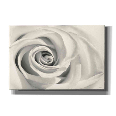 Image of 'Rose II' by Lori Deiter, Canvas Wall Art