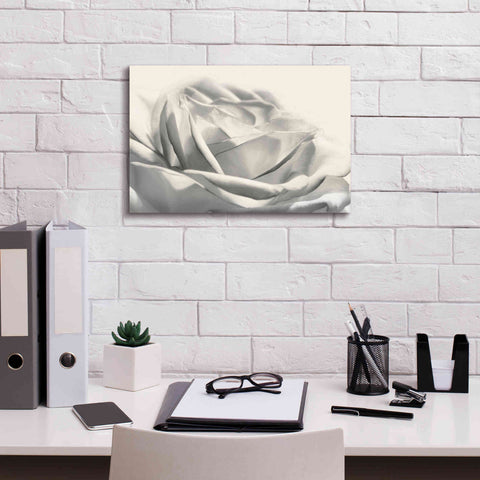 Image of 'Rose III' by Lori Deiter, Canvas Wall Art,18 x 12