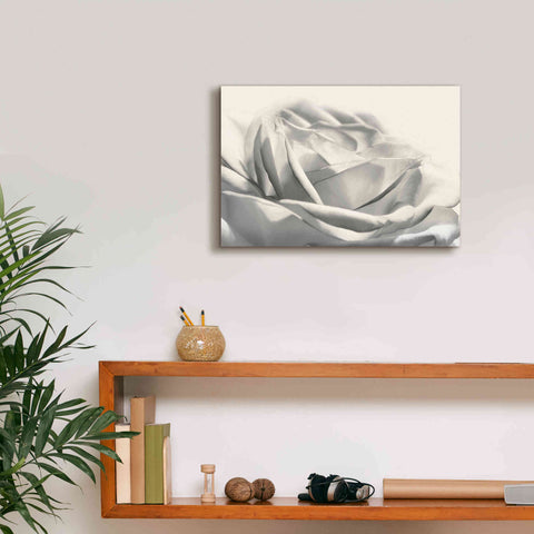 Image of 'Rose III' by Lori Deiter, Canvas Wall Art,18 x 12