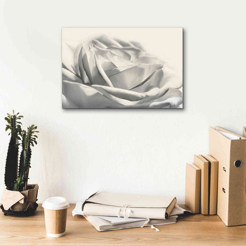 Image of 'Rose III' by Lori Deiter, Canvas Wall Art,18 x 12