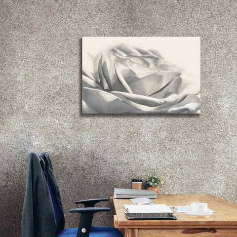 Image of 'Rose III' by Lori Deiter, Canvas Wall Art,40 x 26