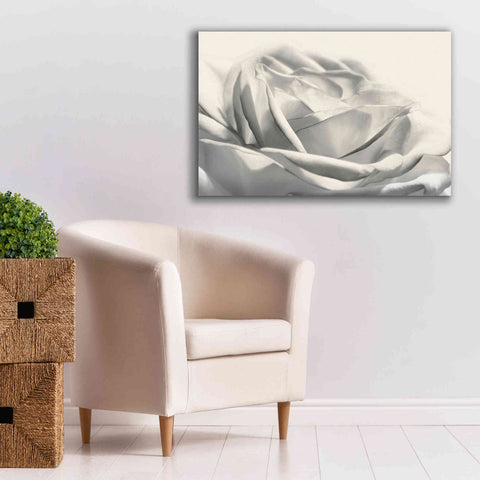 Image of 'Rose III' by Lori Deiter, Canvas Wall Art,40 x 26