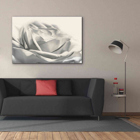 Image of 'Rose III' by Lori Deiter, Canvas Wall Art,60 x 40