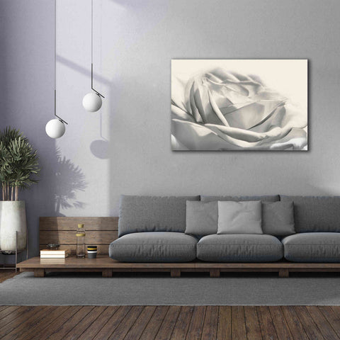Image of 'Rose III' by Lori Deiter, Canvas Wall Art,60 x 40