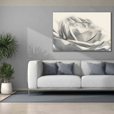 Image of 'Rose III' by Lori Deiter, Canvas Wall Art,60 x 40
