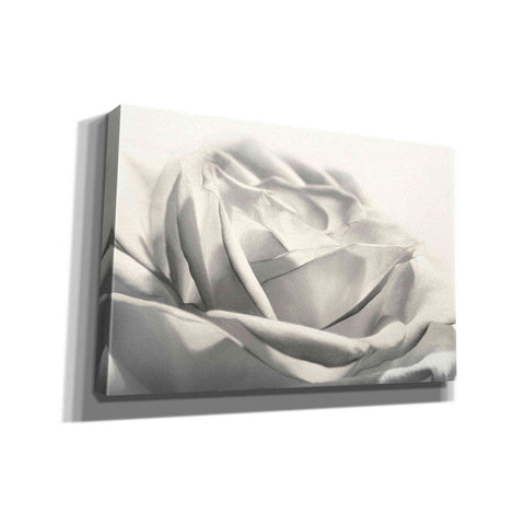 Image of 'Rose III' by Lori Deiter, Canvas Wall Art
