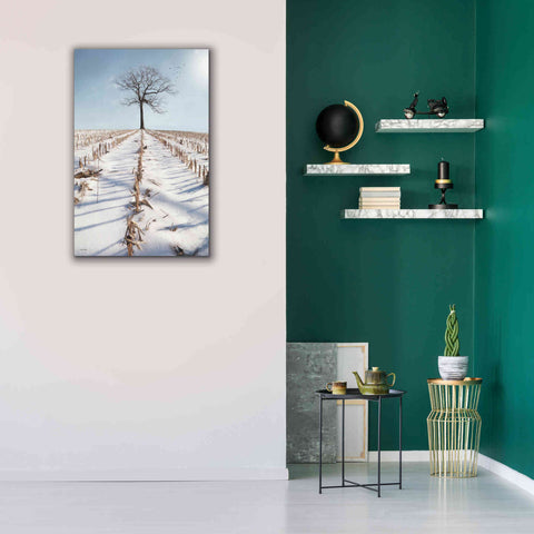 Image of 'Winter Boughs' by Lori Deiter, Canvas Wall Art,26 x 40