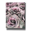 'Painted Roses' by Lori Deiter, Canvas Wall Art