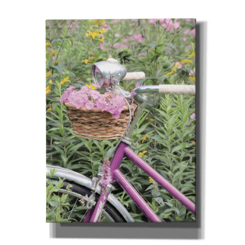 Image of 'Pink Garden Bike' by Lori Deiter, Canvas Wall Art