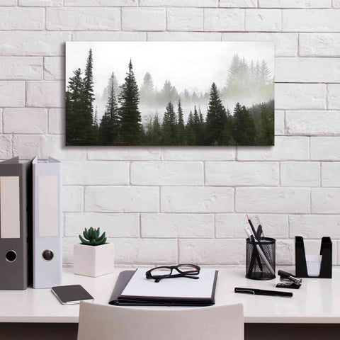 Image of 'Schwabachers Landing Trees' by Lori Deiter, Canvas Wall Art,24 x 12