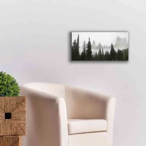 Image of 'Schwabachers Landing Trees' by Lori Deiter, Canvas Wall Art,24 x 12