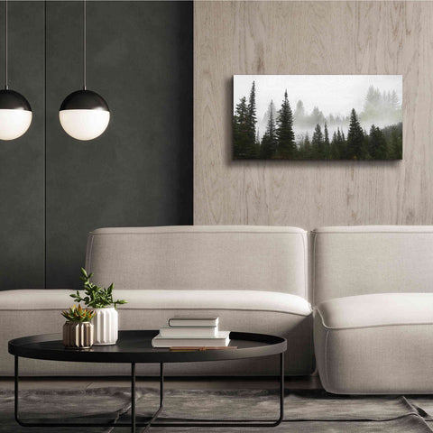 Image of 'Schwabachers Landing Trees' by Lori Deiter, Canvas Wall Art,40 x 20