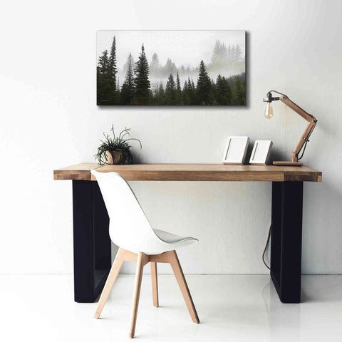 Image of 'Schwabachers Landing Trees' by Lori Deiter, Canvas Wall Art,40 x 20