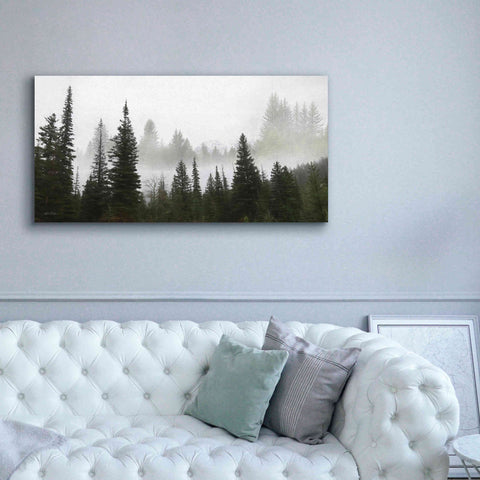 Image of 'Schwabachers Landing Trees' by Lori Deiter, Canvas Wall Art,60 x 30