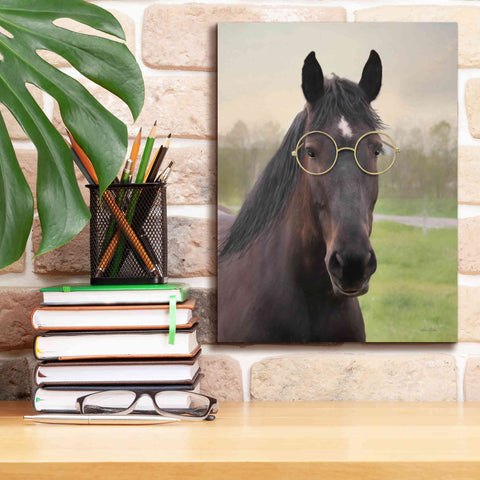 Image of 'Horse with Round Glasses' by Lori Deiter, Canvas Wall Art,12 x 16