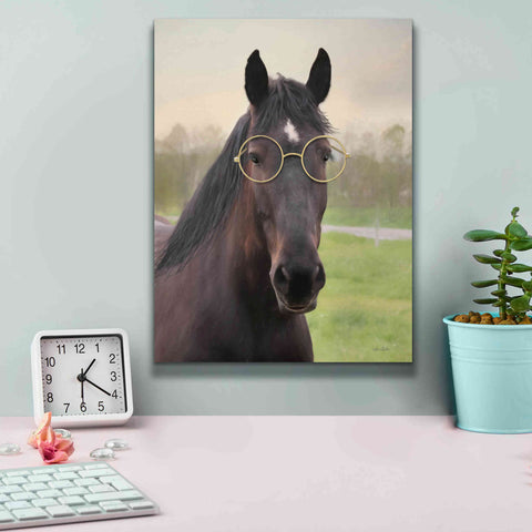 Image of 'Horse with Round Glasses' by Lori Deiter, Canvas Wall Art,12 x 16