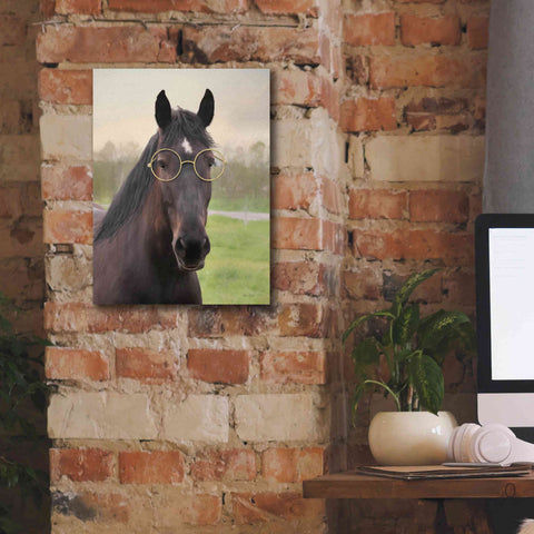 Image of 'Horse with Round Glasses' by Lori Deiter, Canvas Wall Art,12 x 16