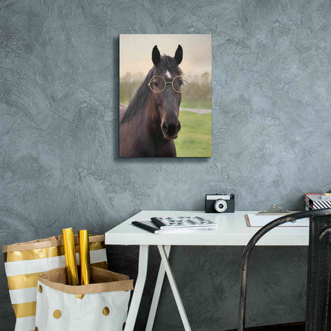 Image of 'Horse with Round Glasses' by Lori Deiter, Canvas Wall Art,12 x 16