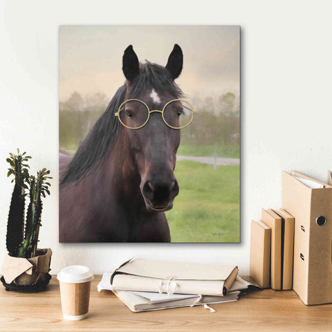 Image of 'Horse with Round Glasses' by Lori Deiter, Canvas Wall Art,20 x 24