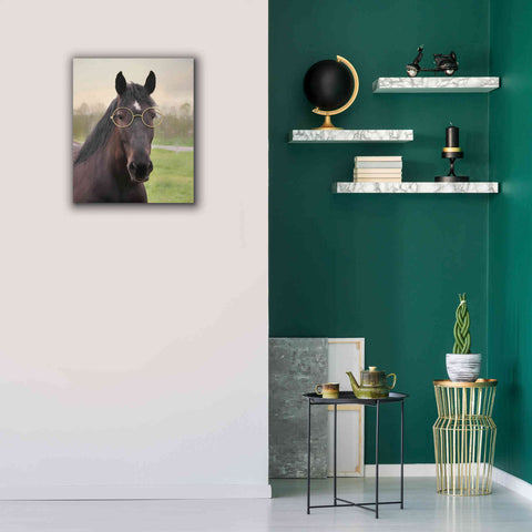 Image of 'Horse with Round Glasses' by Lori Deiter, Canvas Wall Art,20 x 24