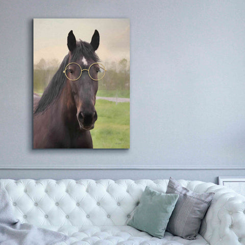 Image of 'Horse with Round Glasses' by Lori Deiter, Canvas Wall Art,40 x 54