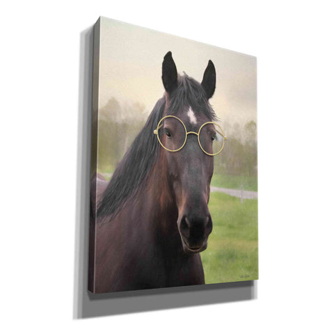 Image of 'Horse with Round Glasses' by Lori Deiter, Canvas Wall Art