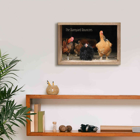 Image of 'Barnyard Bouncers' by Lori Deiter, Canvas Wall Art,18 x 12