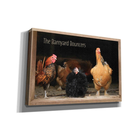 Image of 'Barnyard Bouncers' by Lori Deiter, Canvas Wall Art