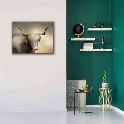 Image of 'Highland Cow in Golden Grass' by Lori Deiter, Canvas Wall Art,34 x 26