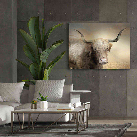 Image of 'Highland Cow in Golden Grass' by Lori Deiter, Canvas Wall Art,54 x 40