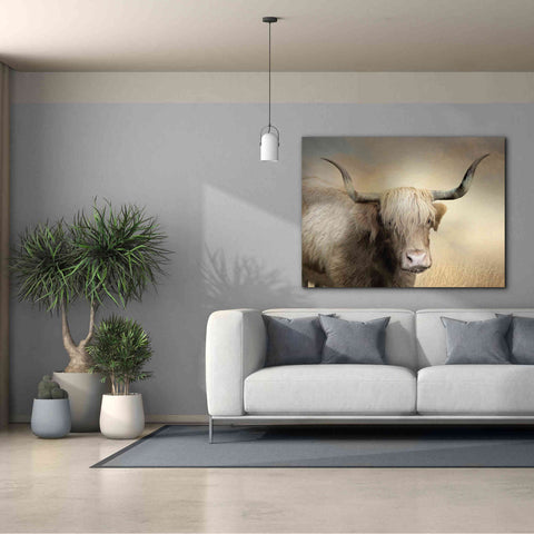 Image of 'Highland Cow in Golden Grass' by Lori Deiter, Canvas Wall Art,54 x 40