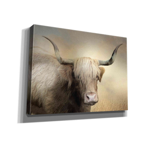 Image of 'Highland Cow in Golden Grass' by Lori Deiter, Canvas Wall Art