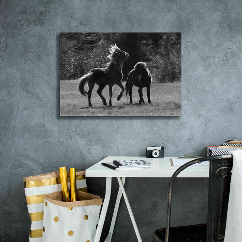 Image of 'Black & White Assateague Horses' by Lori Deiter, Canvas Wall Art,26 x 18